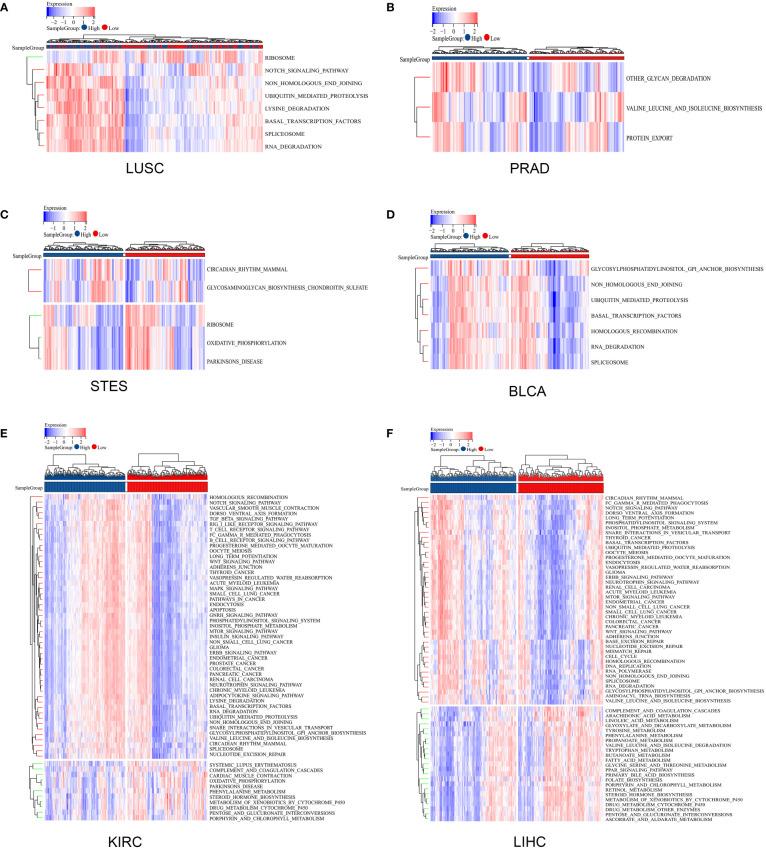 https://cdn.ncbi.nlm.nih.gov/pmc/blobs/f277/9791222/1bd684ec35d9/fonc-12-1042118-g007.jpg