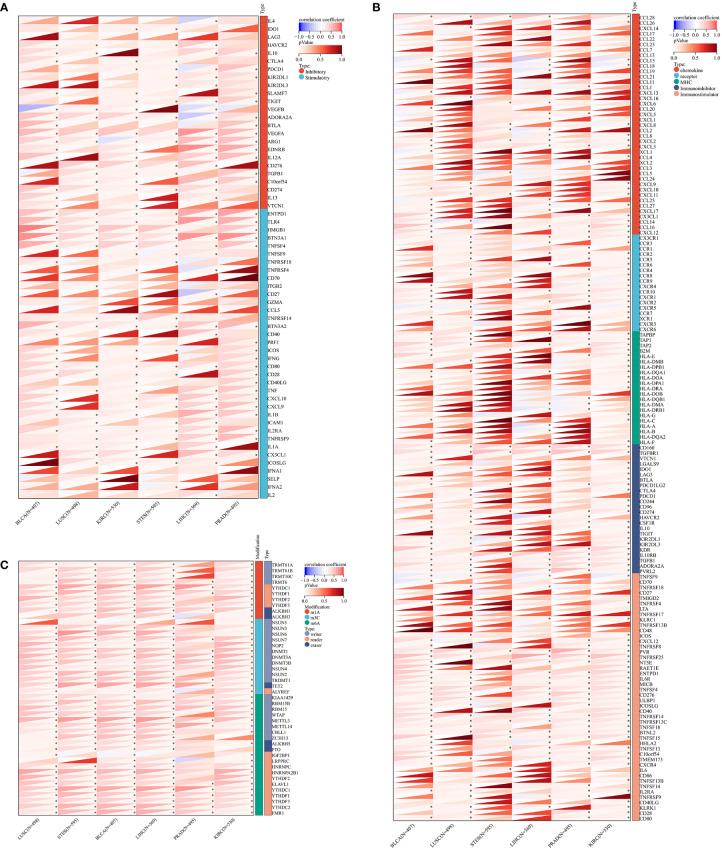 https://cdn.ncbi.nlm.nih.gov/pmc/blobs/f277/9791222/49ca3aa37b20/fonc-12-1042118-g004.jpg