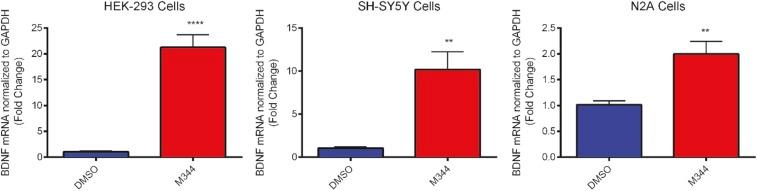 https://cdn.ncbi.nlm.nih.gov/pmc/blobs/f279/5664514/e30c6e976a8e/pnas.1707544114sfig07.jpg