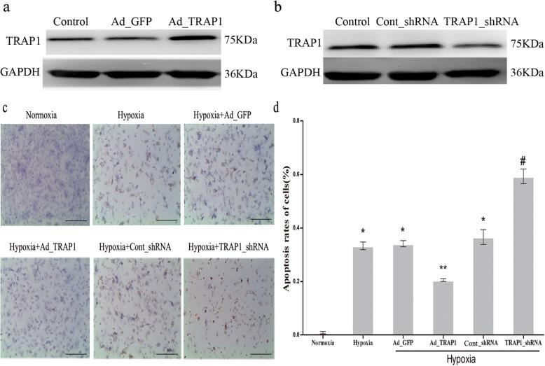 https://cdn.ncbi.nlm.nih.gov/pmc/blobs/f279/6532166/1501ebda637a/41038_2019_154_Fig1_HTML.jpg