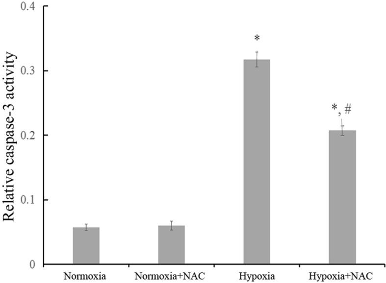 https://cdn.ncbi.nlm.nih.gov/pmc/blobs/f279/6532166/8f73c6836df2/41038_2019_154_Fig6_HTML.jpg