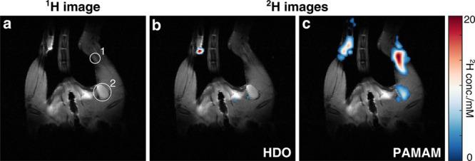 https://cdn.ncbi.nlm.nih.gov/pmc/blobs/f27a/11803745/701b6288a768/nl4c03036_0005.jpg