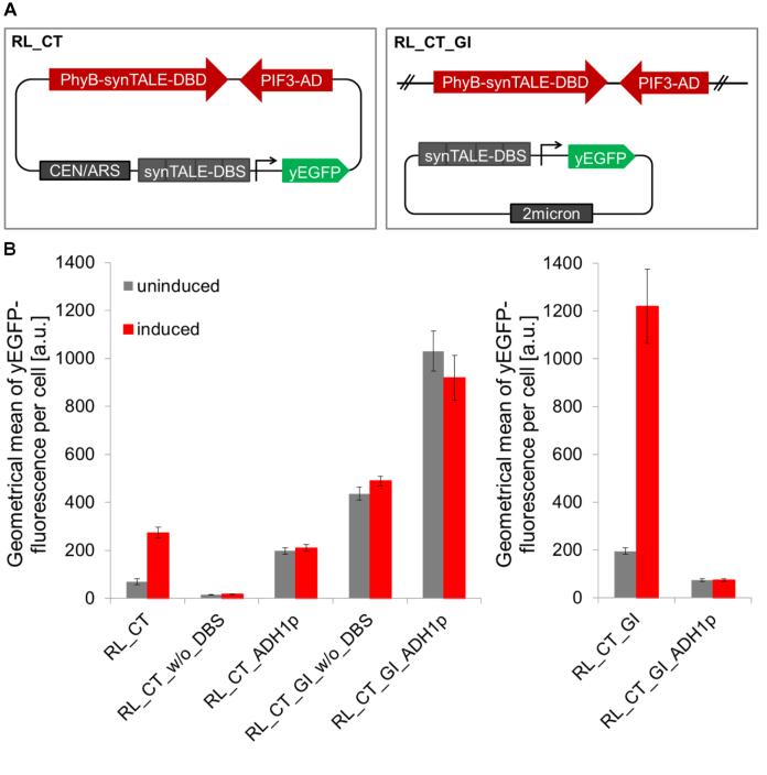 https://cdn.ncbi.nlm.nih.gov/pmc/blobs/f27a/5587811/12db9debd710/gkx610fig3.jpg