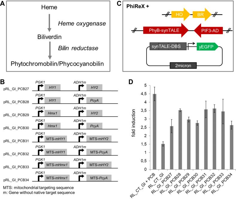 https://cdn.ncbi.nlm.nih.gov/pmc/blobs/f27a/5587811/189f8a534419/gkx610fig5.jpg