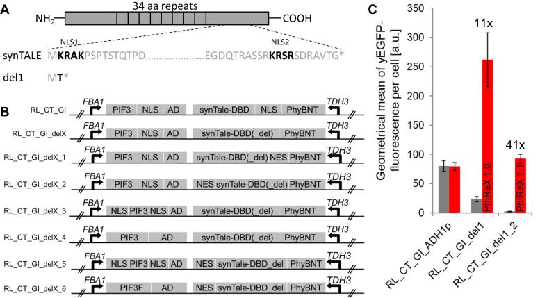 https://cdn.ncbi.nlm.nih.gov/pmc/blobs/f27a/5587811/9139d74ba2cd/gkx610fig4.jpg