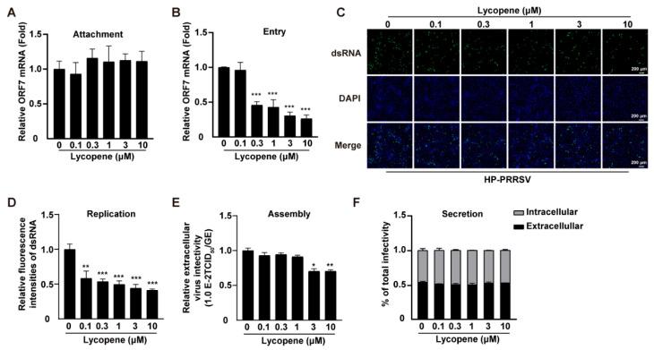 https://cdn.ncbi.nlm.nih.gov/pmc/blobs/f27b/12347652/22a740bb3e0b/ijms-26-07560-g003.jpg