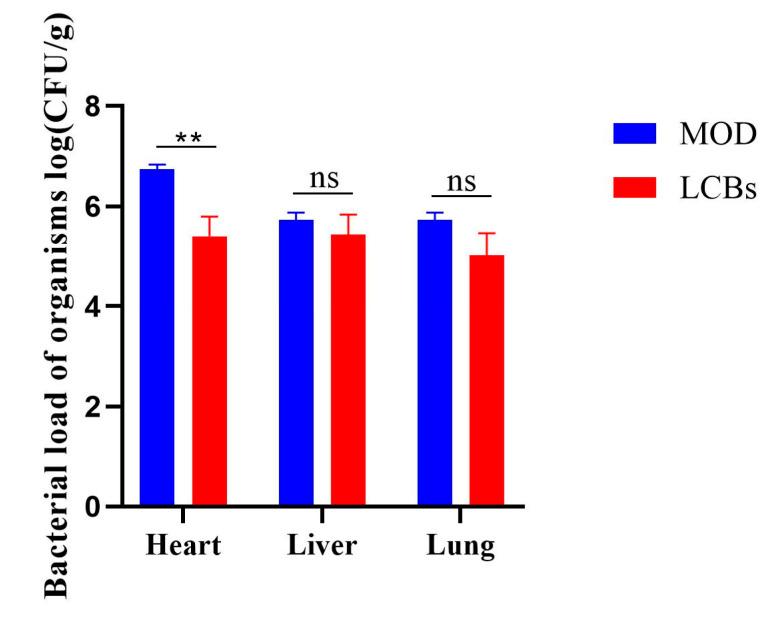 https://cdn.ncbi.nlm.nih.gov/pmc/blobs/f280/11511520/97d981a6664e/vetsci-11-00468-g005.jpg