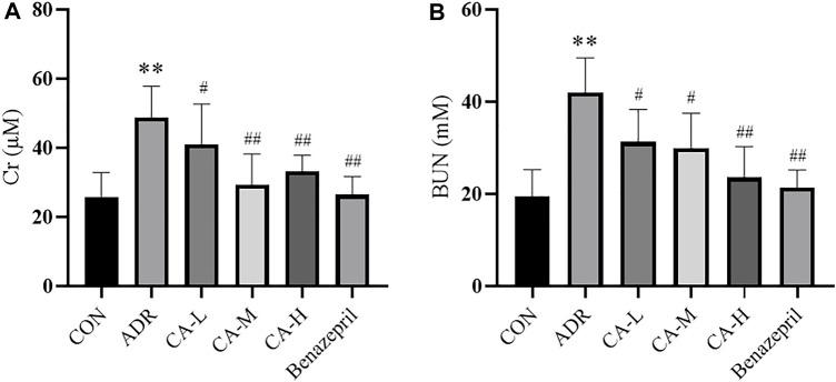 https://cdn.ncbi.nlm.nih.gov/pmc/blobs/f280/8675883/28f5da2efa25/fphar-12-755421-g012.jpg