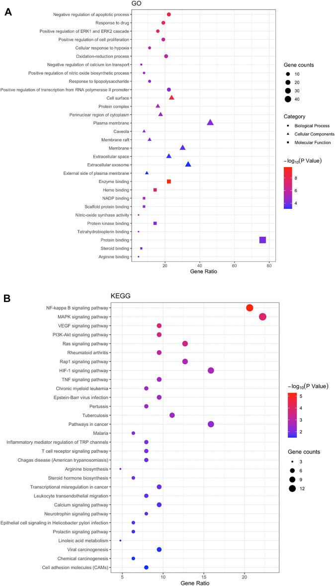 https://cdn.ncbi.nlm.nih.gov/pmc/blobs/f280/8675883/299b3e648ea2/fphar-12-755421-g004.jpg