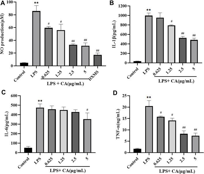 https://cdn.ncbi.nlm.nih.gov/pmc/blobs/f280/8675883/36ca1e899c63/fphar-12-755421-g009.jpg