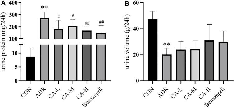 https://cdn.ncbi.nlm.nih.gov/pmc/blobs/f280/8675883/53027e9ba7b1/fphar-12-755421-g011.jpg