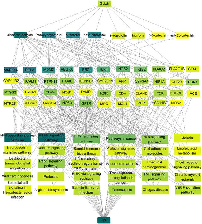 https://cdn.ncbi.nlm.nih.gov/pmc/blobs/f280/8675883/92c4fa83e9b7/fphar-12-755421-g005.jpg