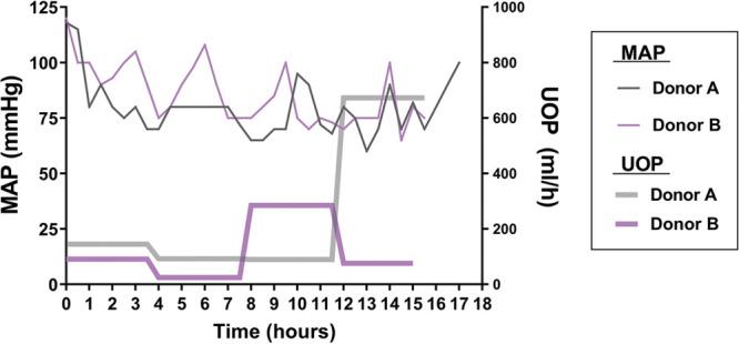 https://cdn.ncbi.nlm.nih.gov/pmc/blobs/f282/7489595/39811de31137/gox-8-e2955-g002.jpg