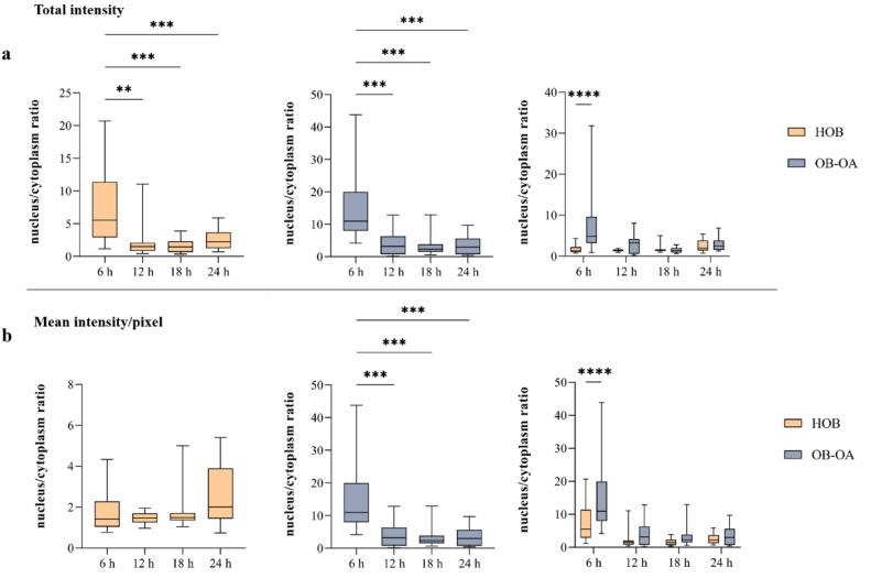 https://cdn.ncbi.nlm.nih.gov/pmc/blobs/f285/11245524/50a5f85ae029/41598_2024_67157_Fig8_HTML.jpg