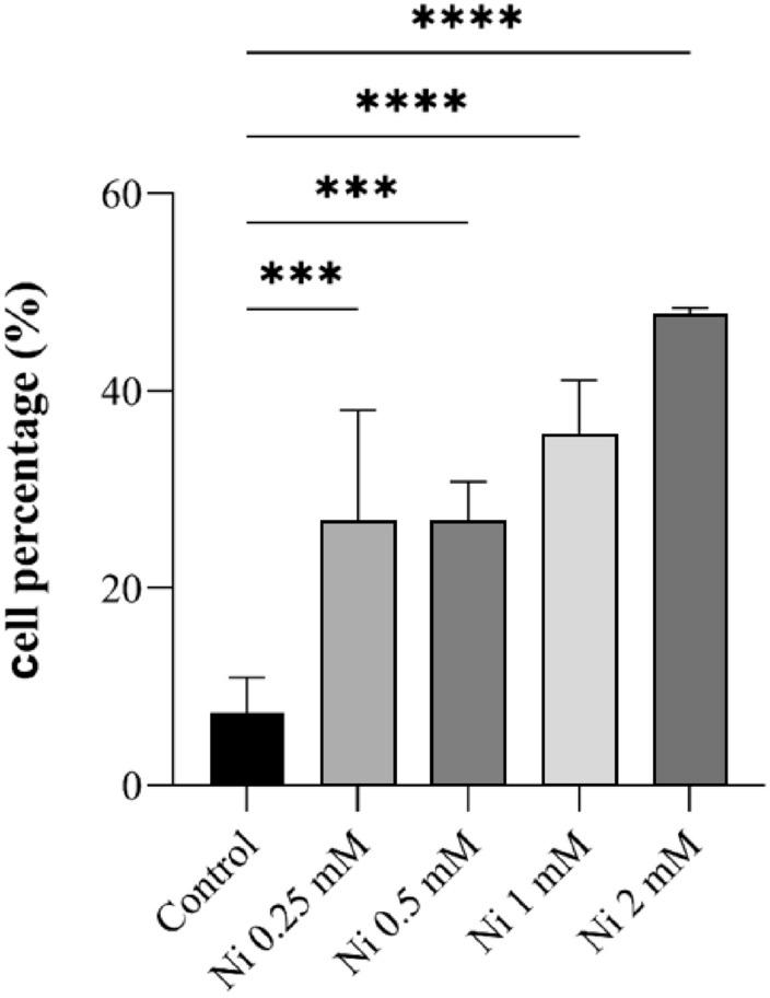 https://cdn.ncbi.nlm.nih.gov/pmc/blobs/f285/11245524/8ea792558b81/41598_2024_67157_Fig2_HTML.jpg