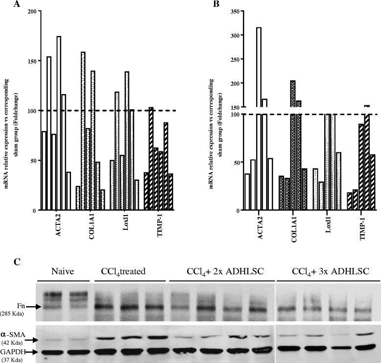 https://cdn.ncbi.nlm.nih.gov/pmc/blobs/f285/5460523/a08bed971de4/13287_2017_575_Fig5_HTML.jpg
