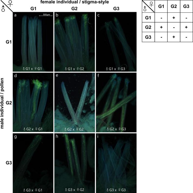 https://cdn.ncbi.nlm.nih.gov/pmc/blobs/f286/12033343/54eabe1dc006/41598_2025_99335_Fig1_HTML.jpg