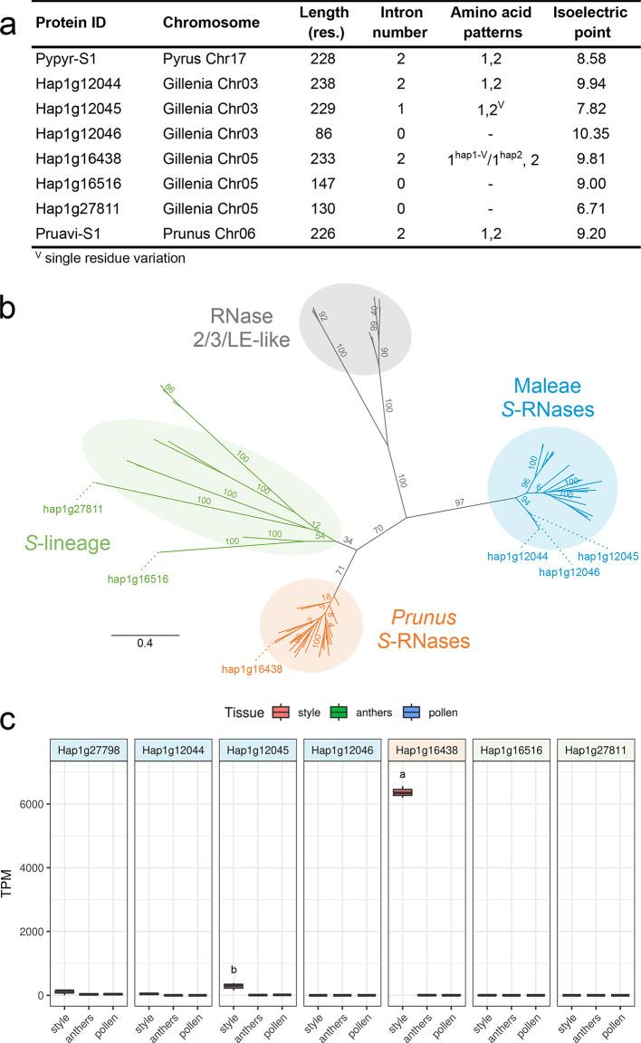 https://cdn.ncbi.nlm.nih.gov/pmc/blobs/f286/12033343/815da00d1498/41598_2025_99335_Fig2_HTML.jpg