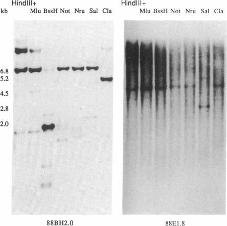 https://cdn.ncbi.nlm.nih.gov/pmc/blobs/f286/1683659/a6773ddcd07f/ajhg00101-0132-a.jpg