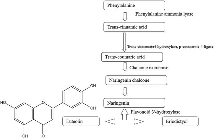 https://cdn.ncbi.nlm.nih.gov/pmc/blobs/f288/10918152/b0a141623219/gr2.jpg