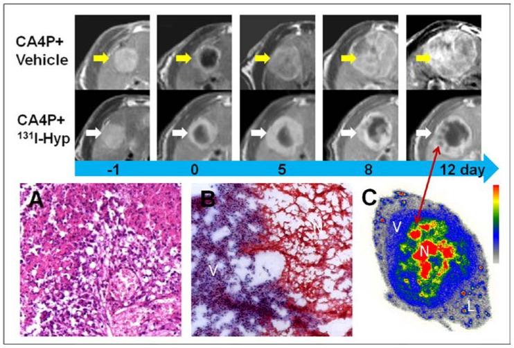 https://cdn.ncbi.nlm.nih.gov/pmc/blobs/f28a/3493203/0890f20722c0/thnov02p1010g04.jpg