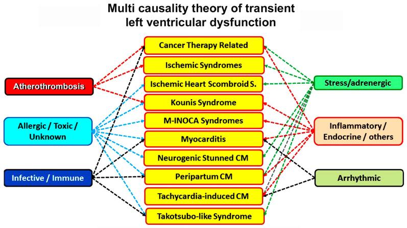 https://cdn.ncbi.nlm.nih.gov/pmc/blobs/f28b/11117605/ded618ba7b27/biomedicines-12-01051-g001.jpg