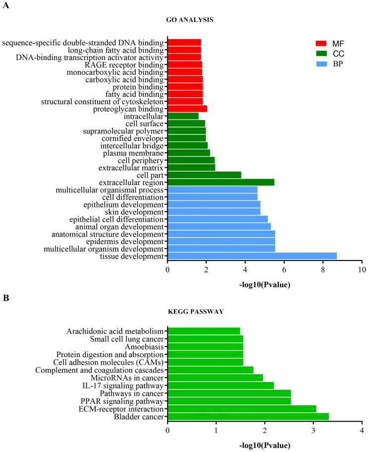 https://cdn.ncbi.nlm.nih.gov/pmc/blobs/f28b/8040875/f8bd545fa05a/jcav12p2921g004.jpg