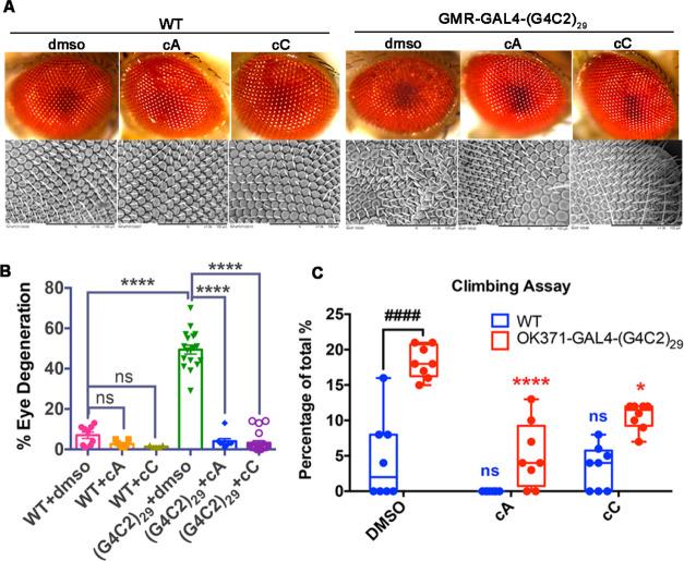 https://cdn.ncbi.nlm.nih.gov/pmc/blobs/f28b/9574859/a3bd102f2133/jm2c00654_0006.jpg