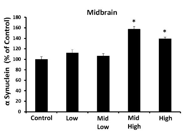 https://cdn.ncbi.nlm.nih.gov/pmc/blobs/f28d/3184279/a6aaf7258698/1742-2094-8-105-4.jpg