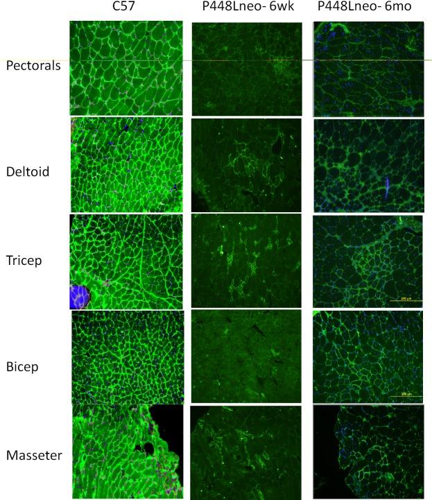 https://cdn.ncbi.nlm.nih.gov/pmc/blobs/f291/5761899/39ad95486f92/pone.0191016.g002.jpg