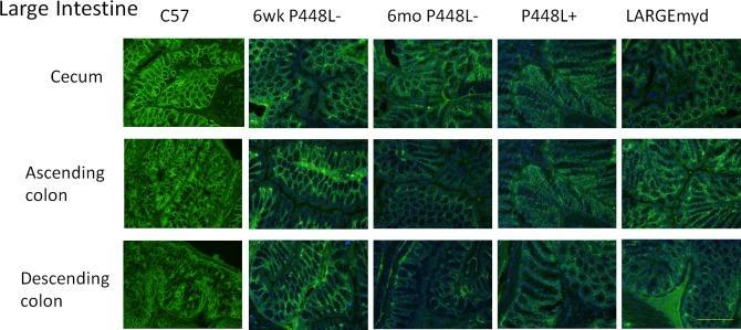 https://cdn.ncbi.nlm.nih.gov/pmc/blobs/f291/5761899/a022d762f75a/pone.0191016.g009.jpg