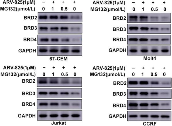 https://cdn.ncbi.nlm.nih.gov/pmc/blobs/f292/8061034/1cea3dedcc25/12935_2021_1908_Fig6_HTML.jpg