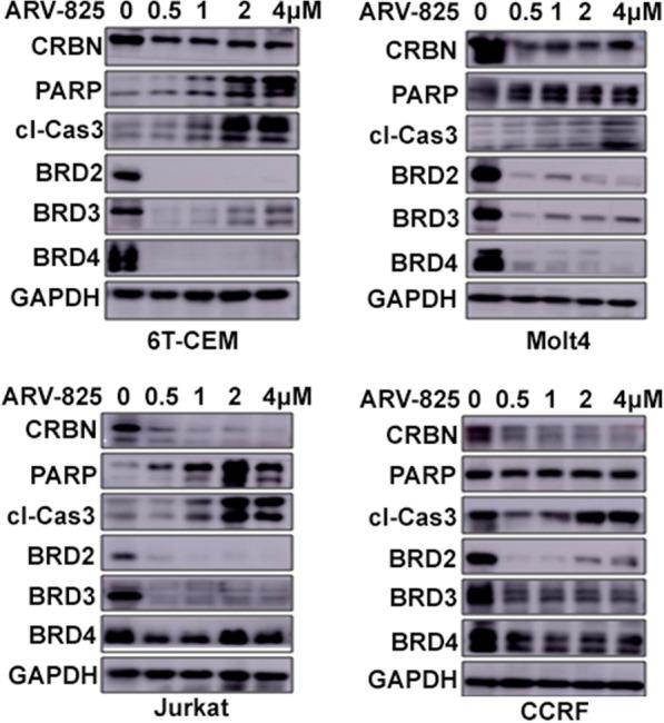 https://cdn.ncbi.nlm.nih.gov/pmc/blobs/f292/8061034/6052a73cee0c/12935_2021_1908_Fig4_HTML.jpg
