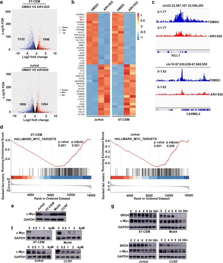 https://cdn.ncbi.nlm.nih.gov/pmc/blobs/f292/8061034/d52c2f31bfb3/12935_2021_1908_Fig7_HTML.jpg