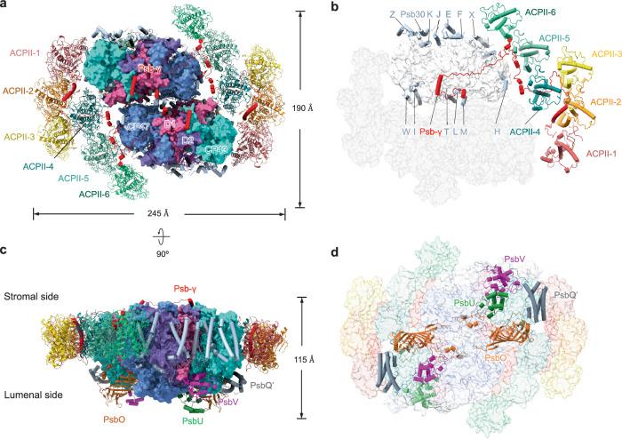 https://cdn.ncbi.nlm.nih.gov/pmc/blobs/f296/11169493/9f1e9c93b904/41467_2024_49453_Fig1_HTML.jpg