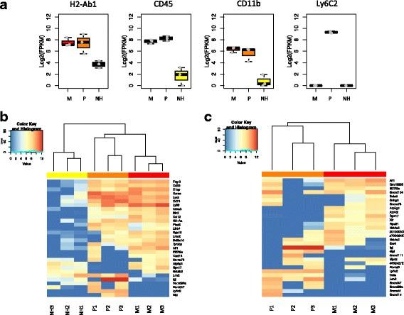 https://cdn.ncbi.nlm.nih.gov/pmc/blobs/f298/5516361/b9042c161d2d/12974_2017_915_Fig9_HTML.jpg