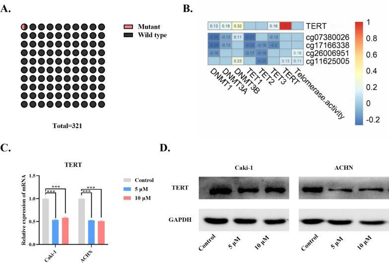 https://cdn.ncbi.nlm.nih.gov/pmc/blobs/f29a/12125838/701cee8accf0/13148_2025_1897_Fig1_HTML.jpg