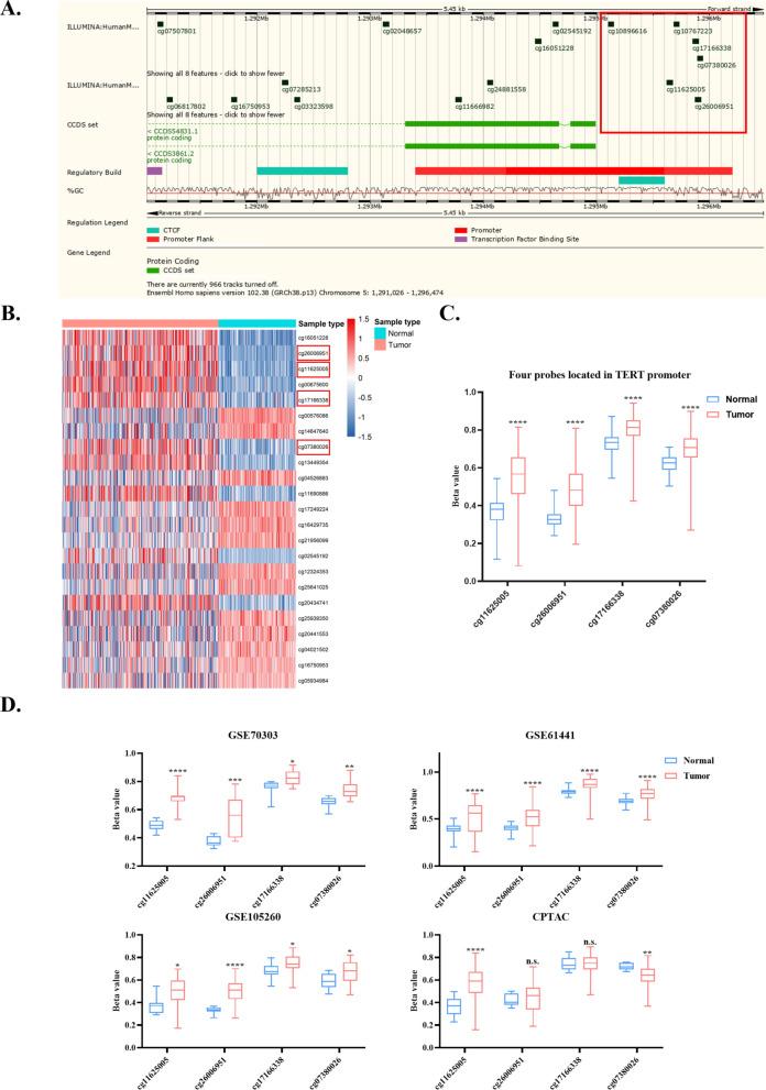 https://cdn.ncbi.nlm.nih.gov/pmc/blobs/f29a/12125838/856b47d86687/13148_2025_1897_Fig2_HTML.jpg