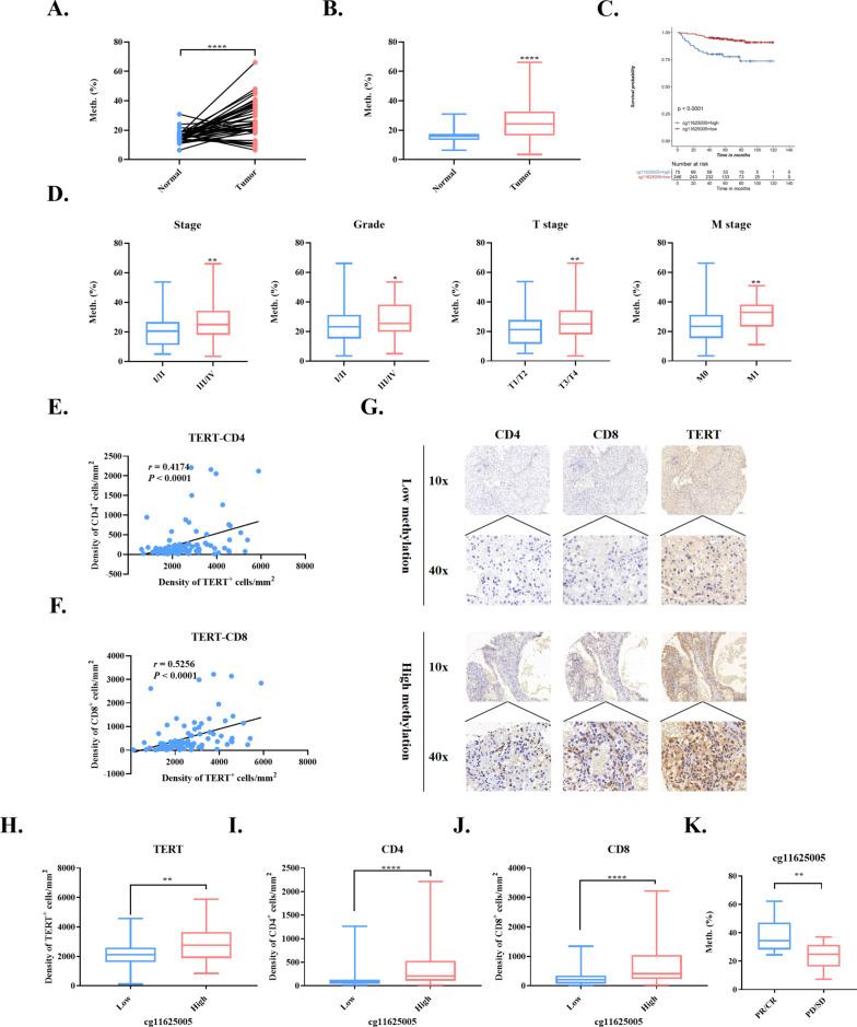 https://cdn.ncbi.nlm.nih.gov/pmc/blobs/f29a/12125838/9380e16748e4/13148_2025_1897_Fig6_HTML.jpg