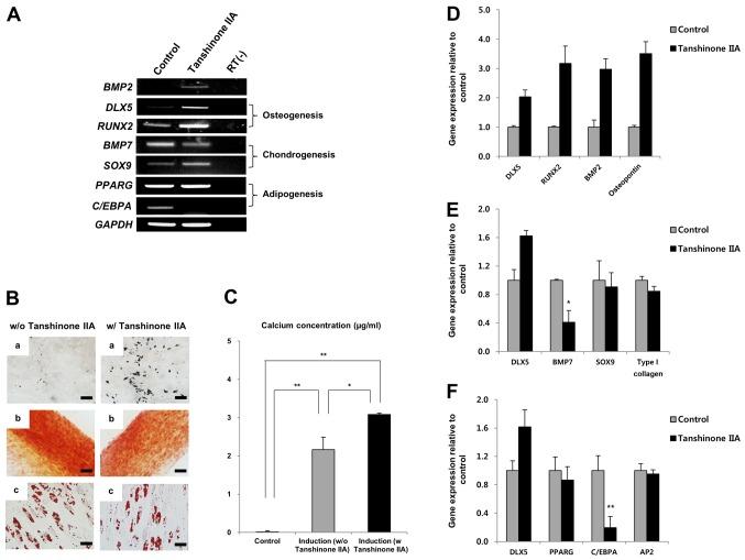 https://cdn.ncbi.nlm.nih.gov/pmc/blobs/f29a/5627883/b91dea12ed79/IJMM-40-05-1486-g04.jpg