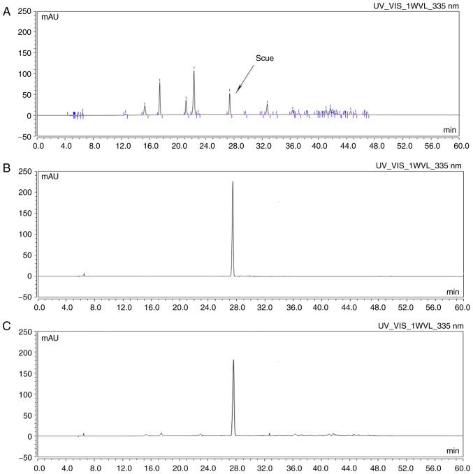https://cdn.ncbi.nlm.nih.gov/pmc/blobs/f29a/6507344/59e545a571ad/ol-17-06-5581-g00.jpg