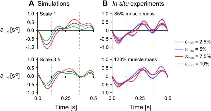 https://cdn.ncbi.nlm.nih.gov/pmc/blobs/f29a/8058367/59dce04776b8/fphys-12-628819-g008.jpg