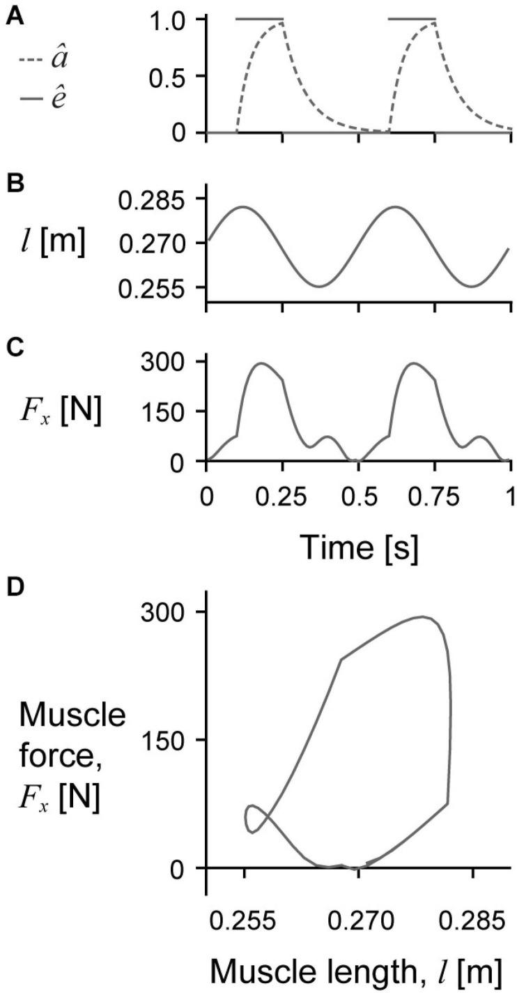 https://cdn.ncbi.nlm.nih.gov/pmc/blobs/f29a/8058367/bfdfb875d4bf/fphys-12-628819-g002.jpg