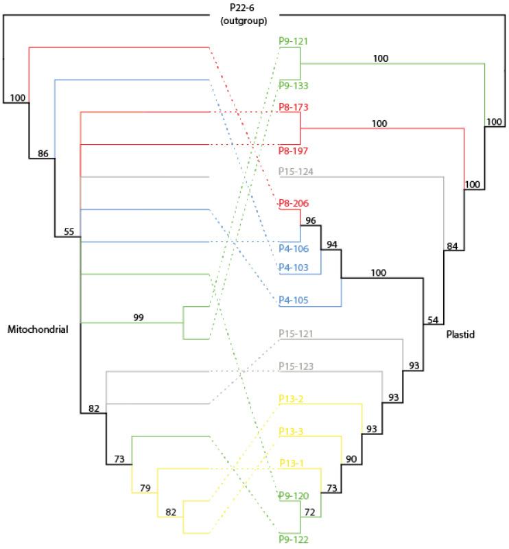 https://cdn.ncbi.nlm.nih.gov/pmc/blobs/f29a/9859050/e54446178990/genes-14-00067-g006.jpg