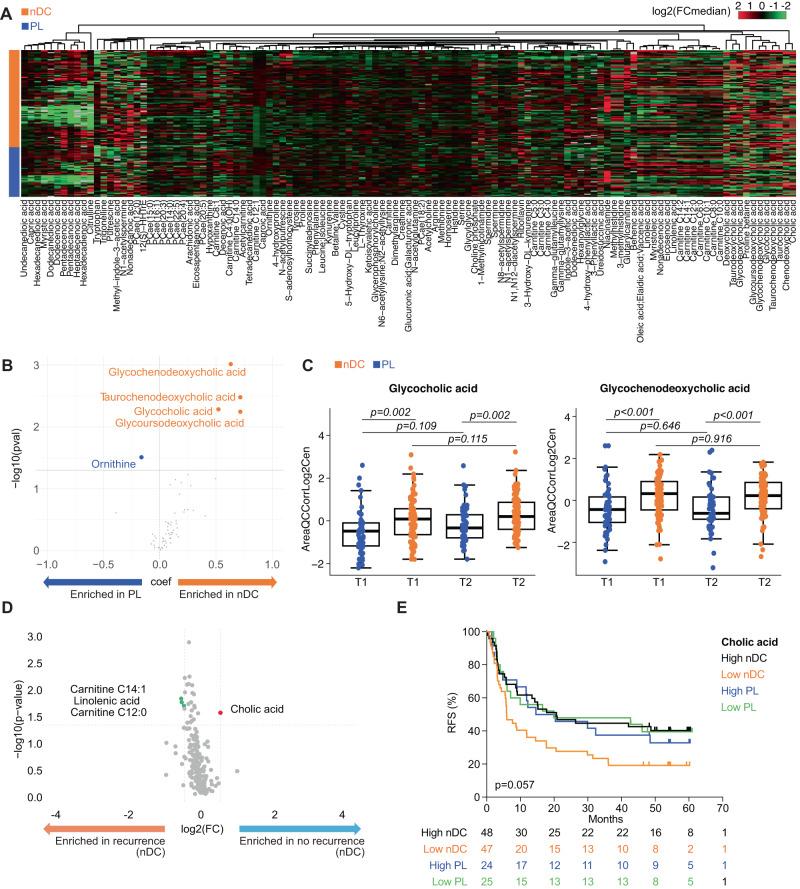 https://cdn.ncbi.nlm.nih.gov/pmc/blobs/f29b/10891084/49b3aeb1d69b/41467_2024_45357_Fig4_HTML.jpg