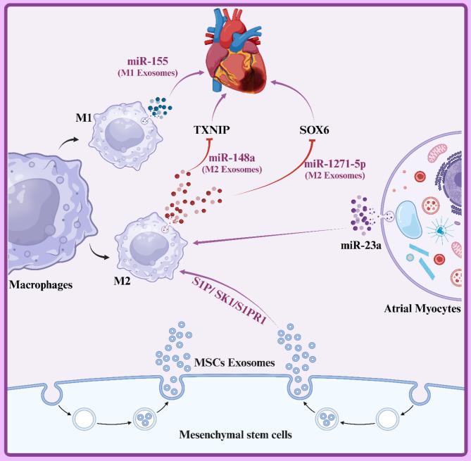 https://cdn.ncbi.nlm.nih.gov/pmc/blobs/f29b/11756228/0991ca5abec3/13287_2024_4123_Fig3_HTML.jpg