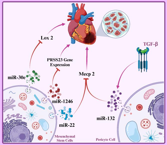 https://cdn.ncbi.nlm.nih.gov/pmc/blobs/f29b/11756228/09c79f6c498c/13287_2024_4123_Fig6_HTML.jpg