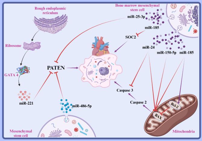 https://cdn.ncbi.nlm.nih.gov/pmc/blobs/f29b/11756228/2cd15743a1fb/13287_2024_4123_Fig5_HTML.jpg