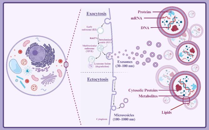 https://cdn.ncbi.nlm.nih.gov/pmc/blobs/f29b/11756228/415f2a08f407/13287_2024_4123_Fig2_HTML.jpg