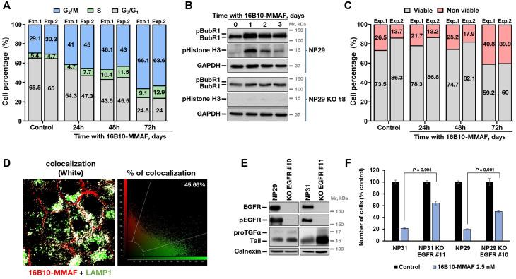 https://cdn.ncbi.nlm.nih.gov/pmc/blobs/f29c/12100920/41cb72a17534/13046_2025_3421_Fig6_HTML.jpg